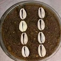 LE MEILLEUR MAÎTRE MARABOUT MEDIUM VOYANT AFRICAIN GRAND SORCIER DU MONDE A VOTRE SERVICE  le meilleur medium africain-grand voyant marabout,grand voyant medium,marabout magie retour affectif sérieux Yvon,medium voyance tarot astrologue marabout d'afrique,marabout africain du retour affectif Yvon,Yvon un marabout spécialisé dans le retour affectif,grand marabout africain,je recherche un puissant marabout en france,je recherche un puissant marabout en suisse,je recherche un puissant marabout en luxembourg,je recherche un puissant marabout au canada,je recherche un puissant marabout en belgique,je recherche un puissant marabout en martinique,je recherche un puissant marabout en réunion,je recherche un puissant marabout en guadeloupe,le plus puissant et grand maitre marabout du monde,le plus grand et puissant maitre marabout du monde et d'afrique,marabout voyant africain,marabout africain gratuit,marabout africain sérieux,marabout africain humour,marabout africain annonce,marabout qui ne demande pas d'argent,marabout africain consultation gratuite,marabout africain paris,grand marabout africain en france,maitre marabout africain en france,marabout africain serieux Yvon,marabout africain oiseau,marabout africain bruxelles,marabout africain marseille,marabout africain avis,marabout africain animal,marabout africain avignon,marabout africain a paris,marabout africain a la reunion,marabout africain amour,marabout africain a marseille,marabout a africain,marabout africain à paris,marabout africain,marabout africain bordeaux,marabout africain benin,voyant marabout médium africain,marabout guérisseur africain bruxelles belgië,marabout médium africain bruxelles,marabout guérisseur africain bruxellesle meilleur medium africain-grand voyant marabout,grand voyant medium,marabout magie retour affectif sérieux Yvon,medium voyance tarot astrologue marabout d'afrique,marabout africain du retour affectif Yvon,Yvon un marabout spécialisé dans le retour affectif,grand marabout africain,je recherche un puissant marabout en france,je recherche un puissant marabout en suisse,je recherche un puissant marabout en luxembourg,je recherche un puissant marabout au canada,je recherche un puissant marabout en belgique,je recherche un puissant marabout en martinique,je recherche un puissant marabout en réunion,je recherche un puissant marabout en guadeloupe,le plus puissant et grand maitre marabout du monde,le plus grand et puissant maitre marabout du monde et d'afrique,marabout voyant africain,marabout africain gratuit,marabout africain sérieux,marabout africain humour,marabout africain annonce,marabout qui ne demande pas d'argent,marabout africain consultation gratuite,marabout africain paris,grand marabout africain en france,maitre marabout africain en france,marabout africain serieux Yvon,marabout africain oiseau,marabout africain bruxelles,marabout africain marseille,marabout africain avis,marabout africain animal,marabout africain avignon,marabout africain a paris,marabout africain a la reunion,marabout africain amour,marabout africain a marseille,marabout a africain,marabout africain à paris,marabout africain,marabout africain bordeaux,marabout africain benin,voyant marabout médium africain,marabout guérisseur africain bruxelles belgië,marabout médium africain bruxelles,marabout guérisseur africain bruxellesle meilleur medium africain-grand voyant marabout,grand voyant medium,marabout magie retour affectif sérieux Yvon,medium voyance tarot astrologue marabout d'afrique,marabout africain du retour affectif Yvon,Yvon un marabout spécialisé dans le retour affectif,grand marabout africain,je recherche un puissant marabout en france,je recherche un puissant marabout en suisse,je recherche un puissant marabout en luxembourg,je recherche un puissant marabout au canada,je recherche un puissant marabout en belgique,je recherche un puissant marabout en martinique,je recherche un puissant marabout en réunion,je recherche un puissant marabout en guadeloupe,le plus puissant et grand maitre marabout du monde,le plus grand et puissant maitre marabout du monde et d'afrique,marabout voyant africain,marabout africain gratuit,marabout africain sérieux,marabout africain humour,marabout africain annonce,marabout qui ne demande pas d'argent,marabout africain consultation gratuite,marabout africain paris,grand marabout africain en france,maitre marabout africain en france,marabout africain serieux Yvon,marabout africain oiseau,marabout africain bruxelles,marabout africain marseille,marabout africain avis,marabout africain animal,marabout africain avignon,marabout africain a paris,marabout africain a la reunion,marabout africain amour,marabout africain a marseille,marabout a africain,marabout africain à paris,marabout africain,marabout africain bordeaux,marabout africain benin,voyant marabout médium africain,marabout guérisseur africain bruxelles belgië,marabout médium africain bruxelles,marabout guérisseur africain bruxellesle meilleur medium africain-grand voyant marabout,grand voyant medium,marabout magie retour affectif sérieux Yvon,medium voyance tarot astrologue marabout d'afrique,marabout africain du retour affectif Yvon,Yvon un marabout spécialisé dans le retour affectif,grand marabout africain,je recherche un puissant marabout en france,je recherche un puissant marabout en suisse,je recherche un puissant marabout en luxembourg,je recherche un puissant marabout au canada,je recherche un puissant marabout en belgique,je recherche un puissant marabout en martinique,je recherche un puissant marabout en réunion,je recherche un puissant marabout en guadeloupe,le plus puissant et grand maitre marabout du monde,le plus grand et puissant maitre marabout du monde et d'afrique,marabout voyant africain,marabout africain gratuit,marabout africain sérieux,marabout africain humour,marabout africain annonce,marabout qui ne demande pas d'argent,marabout africain consultation gratuite,marabout africain paris,grand marabout africain en france,maitre marabout africain en france,marabout africain serieux Yvon,marabout africain oiseau,marabout africain bruxelles,marabout africain marseille,marabout africain avis,marabout africain animal,marabout africain avignon,marabout africain a paris,marabout africain a la reunion,marabout africain amour,marabout africain a marseille,marabout a africain,marabout africain à paris,marabout africain,marabout africain bordeaux,marabout africain benin,voyant marabout médium africain,marabout guérisseur africain bruxelles belgië,marabout médium africain bruxelles,marabout guérisseur africain bruxellesle meilleur medium africain-grand voyant marabout,grand voyant medium,marabout magie retour affectif sérieux Yvon,medium voyance tarot astrologue marabout d'afrique,marabout africain du retour affectif Yvon,Yvon un marabout spécialisé dans le retour affectif,grand marabout africain,je recherche un puissant marabout en france,je recherche un puissant marabout en suisse,je recherche un puissant marabout en luxembourg,je recherche un puissant marabout au canada,je recherche un puissant marabout en belgique,je recherche un puissant marabout en martinique,je recherche un puissant marabout en réunion,je recherche un puissant marabout en guadeloupe,le plus puissant et grand maitre marabout du monde,le plus grand et puissant maitre marabout du monde et d'afrique,marabout voyant africain,marabout africain gratuit,marabout africain sérieux,marabout africain humour,marabout africain annonce,marabout qui ne demande pas d'argent,marabout africain consultation gratuite,marabout africain paris,grand marabout africain en france,maitre marabout africain en france,marabout africain serieux Yvon,marabout africain oiseau,marabout africain bruxelles,marabout africain marseille,marabout africain avis,marabout africain animal,marabout africain avignon,marabout africain a paris,marabout africain a la reunion,marabout africain amour,marabout africain a marseille,marabout a africain,marabout africain à paris,marabout africain,marabout africain bordeaux,marabout africain benin,voyant marabout médium africain,marabout guérisseur africain bruxelles belgië,marabout médium africain bruxelles,marabout guérisseur africain bruxellesle meilleur medium africain-grand voyant marabout,grand voyant medium,marabout magie retour affectif sérieux Yvon,medium voyance tarot astrologue marabout d'afrique,marabout africain du retour affectif Yvon,Yvon un marabout spécialisé dans le retour affectif,grand marabout africain,je recherche un puissant marabout en france,je recherche un puissant marabout en suisse,je recherche un puissant marabout en luxembourg,je recherche un puissant marabout au canada,je recherche un puissant marabout en belgique,je recherche un puissant marabout en martinique,je recherche un puissant marabout en réunion,je recherche un puissant marabout en guadeloupe,le plus puissant et grand maitre marabout du monde,le plus grand et puissant maitre marabout du monde et d'afrique,marabout voyant africain,marabout africain gratuit,marabout africain sérieux,marabout africain humour,marabout africain annonce,marabout qui ne demande pas d'argent,marabout africain consultation gratuite,marabout africain paris,grand marabout africain en france,maitre marabout africain en france,marabout africain serieux Yvon,marabout africain oiseau,marabout africain bruxelles,marabout africain marseille,marabout africain avis,marabout africain animal,marabout africain avignon,marabout africain a paris,marabout africain a la reunion,marabout africain amour,marabout africain a marseille,marabout a africain,marabout africain à paris,marabout africain,marabout africain bordeaux,marabout africain benin,voyant marabout médium africain,marabout guérisseur africain bruxelles belgië,marabout médium africain bruxelles,marabout guérisseur africain bruxellesle meilleur medium africain-grand voyant marabout,grand voyant medium,marabout magie retour affectif sérieux Yvon,medium voyance tarot astrologue marabout d'afrique,marabout africain du retour affectif Yvon,Yvon un marabout spécialisé dans le retour affectif,grand marabout africain,je recherche un puissant marabout en france,je recherche un puissant marabout en suisse,je recherche un puissant marabout en luxembourg,je recherche un puissant marabout au canada,je recherche un puissant marabout en belgique,je recherche un puissant marabout en martinique,je recherche un puissant marabout en réunion,je recherche un puissant marabout en guadeloupe,le plus puissant et grand maitre marabout du monde,le plus grand et puissant maitre marabout du monde et d'afrique,marabout voyant africain,marabout africain gratuit,marabout africain sérieux,marabout africain humour,marabout africain annonce,marabout qui ne demande pas d'argent,marabout africain consultation gratuite,marabout africain paris,grand marabout africain en france,maitre marabout africain en france,marabout africain serieux Yvon,marabout africain oiseau,marabout africain bruxelles,marabout africain marseille,marabout africain avis,marabout africain animal,marabout africain avignon,marabout africain a paris,marabout africain a la reunion,marabout africain amour,marabout africain a marseille,marabout a africain,marabout africain à paris,marabout africain,marabout africain bordeaux,marabout africain benin,voyant marabout médium africain,marabout guérisseur africain bruxelles belgië,marabout médium africain bruxelles,marabout guérisseur africain bruxellesle meilleur medium africain-grand voyant marabout,grand voyant medium,marabout magie retour affectif sérieux Yvon,medium voyance tarot astrologue marabout d'afrique,marabout africain du retour affectif Yvon,Yvon un marabout spécialisé dans le retour affectif,grand marabout africain,je recherche un puissant marabout en france,je recherche un puissant marabout en suisse,je recherche un puissant marabout en luxembourg,je recherche un puissant marabout au canada,je recherche un puissant marabout en belgique,je recherche un puissant marabout en martinique,je recherche un puissant marabout en réunion,je recherche un puissant marabout en guadeloupe,le plus puissant et grand maitre marabout du monde,le plus grand et puissant maitre marabout du monde et d'afrique,marabout voyant africain,marabout africain gratuit,marabout africain sérieux,marabout africain humour,marabout africain annonce,marabout qui ne demande pas d'argent,marabout africain consultation gratuite,marabout africain paris,grand marabout africain en france,maitre marabout africain en france,marabout africain serieux Yvon,marabout africain oiseau,marabout africain bruxelles,marabout africain marseille,marabout africain avis,marabout africain animal,marabout africain avignon,marabout africain a paris,marabout africain a la reunion,marabout africain amour,marabout africain a marseille,marabout a africain,marabout africain à paris,marabout africain,marabout africain bordeaux,marabout africain benin,voyant marabout médium africain,marabout guérisseur africain bruxelles belgië,marabout médium africain bruxelles,marabout guérisseur africain bruxellesle meilleur medium africain-grand voyant marabout,grand voyant medium,marabout magie retour affectif sérieux Yvon,medium voyance tarot astrologue marabout d'afrique,marabout africain du retour affectif Yvon,Yvon un marabout spécialisé dans le retour affectif,grand marabout africain,je recherche un puissant marabout en france,je recherche un puissant marabout en suisse,je recherche un puissant marabout en luxembourg,je recherche un puissant marabout au canada,je recherche un puissant marabout en belgique,je recherche un puissant marabout en martinique,je recherche un puissant marabout en réunion,je recherche un puissant marabout en guadeloupe,le plus puissant et grand maitre marabout du monde,le plus grand et puissant maitre marabout du monde et d'afrique,marabout voyant africain,marabout africain gratuit,marabout africain sérieux,marabout africain humour,marabout africain annonce,marabout qui ne demande pas d'argent,marabout africain consultation gratuite,marabout africain paris,grand marabout africain en france,maitre marabout africain en france,marabout africain serieux Yvon,marabout africain oiseau,marabout africain bruxelles,marabout africain marseille,marabout africain avis,marabout africain animal,marabout africain avignon,marabout africain a paris,marabout africain a la reunion,marabout africain amour,marabout africain a marseille,marabout a africain,marabout africain à paris,marabout africain,marabout africain bordeaux,marabout africain benin,voyant marabout médium africain,marabout guérisseur africain bruxelles belgië,marabout médium africain bruxelles,marabout guérisseur africain bruxellesle meilleur medium africain-grand voyant marabout,grand voyant medium,marabout magie retour affectif sérieux Yvon,medium voyance tarot astrologue marabout d'afrique,marabout africain du retour affectif Yvon,Yvon un marabout spécialisé dans le retour affectif,grand marabout africain,je recherche un puissant marabout en france,je recherche un puissant marabout en suisse,je recherche un puissant marabout en luxembourg,je recherche un puissant marabout au canada,je recherche un puissant marabout en belgique,je recherche un puissant marabout en martinique,je recherche un puissant marabout en réunion,je recherche un puissant marabout en guadeloupe,le plus puissant et grand maitre marabout du monde,le plus grand et puissant maitre marabout du monde et d'afrique,marabout voyant africain,marabout africain gratuit,marabout africain sérieux,marabout africain humour,marabout africain annonce,marabout qui ne demande pas d'argent,marabout africain consultation gratuite,marabout africain paris,grand marabout africain en france,maitre marabout africain en france,marabout africain serieux Yvon,marabout africain oiseau,marabout africain bruxelles,marabout africain marseille,marabout africain avis,marabout africain animal,marabout africain avignon,marabout africain a paris,marabout africain a la reunion,marabout africain amour,marabout africain a marseille,marabout a africain,marabout africain à paris,marabout africain,marabout africain bordeaux,marabout africain benin,voyant marabout médium africain,marabout guérisseur africain bruxelles belgië,marabout médium africain bruxelles,marabout guérisseur africain bruxellesle meilleur medium africain-grand voyant marabout,grand voyant medium,marabout magie retour affectif sérieux Yvon,medium voyance tarot astrologue marabout d'afrique,marabout africain du retour affectif Yvon,Yvon un marabout spécialisé dans le retour affectif,grand marabout africain,je recherche un puissant marabout en france,je recherche un puissant marabout en suisse,je recherche un puissant marabout en luxembourg,je recherche un puissant marabout au canada,je recherche un puissant marabout en belgique,je recherche un puissant marabout en martinique,je recherche un puissant marabout en réunion,je recherche un puissant marabout en guadeloupe,le plus puissant et grand maitre marabout du monde,le plus grand et puissant maitre marabout du monde et d'afrique,marabout voyant africain,marabout africain gratuit,marabout africain sérieux,marabout africain humour,marabout africain annonce,marabout qui ne demande pas d'argent,marabout africain consultation gratuite,marabout africain paris,grand marabout africain en france,maitre marabout africain en france,marabout africain serieux Yvon,marabout africain oiseau,marabout africain bruxelles,marabout africain marseille,marabout africain avis,marabout africain animal,marabout africain avignon,marabout africain a paris,marabout africain a la reunion,marabout africain amour,marabout africain a marseille,marabout a africain,marabout africain à paris,marabout africain,marabout africain bordeaux,marabout africain benin,voyant marabout médium africain,marabout guérisseur africain bruxelles belgië,marabout médium africain bruxelles,marabout guérisseur africain bruxellesle meilleur medium africain-grand voyant marabout,grand voyant medium,marabout magie retour affectif sérieux Yvon,medium voyance tarot astrologue marabout d'afrique,marabout africain du retour affectif Yvon,Yvon un marabout spécialisé dans le retour affectif,grand marabout africain,je recherche un puissant marabout en france,je recherche un puissant marabout en suisse,je recherche un puissant marabout en luxembourg,je recherche un puissant marabout au canada,je recherche un puissant marabout en belgique,je recherche un puissant marabout en martinique,je recherche un puissant marabout en réunion,je recherche un puissant marabout en guadeloupe,le plus puissant et grand maitre marabout du monde,le plus grand et puissant maitre marabout du monde et d'afrique,marabout voyant africain,marabout africain gratuit,marabout africain sérieux,marabout africain humour,marabout africain annonce,marabout qui ne demande pas d'argent,marabout africain consultation gratuite,marabout africain paris,grand marabout africain en france,maitre marabout africain en france,marabout africain serieux Yvon,marabout africain oiseau,marabout africain bruxelles,marabout africain marseille,marabout africain avis,marabout africain animal,marabout africain avignon,marabout africain a paris,marabout africain a la reunion,marabout africain amour,marabout africain a marseille,marabout a africain,marabout africain à paris,marabout africain,marabout africain bordeaux,marabout africain benin,voyant marabout médium africain,marabout guérisseur africain bruxelles belgië,marabout médium africain bruxelles,marabout guérisseur africain bruxellesle meilleur medium africain-grand voyant marabout,grand voyant medium,marabout magie retour affectif sérieux Yvon,medium voyance tarot astrologue marabout d'afrique,marabout africain du retour affectif Yvon,Yvon un marabout spécialisé dans le retour affectif,grand marabout africain,je recherche un puissant marabout en france,je recherche un puissant marabout en suisse,je recherche un puissant marabout en luxembourg,je recherche un puissant marabout au canada,je recherche un puissant marabout en belgique,je recherche un puissant marabout en martinique,je recherche un puissant marabout en réunion,je recherche un puissant marabout en guadeloupe,le plus puissant et grand maitre marabout du monde,le plus grand et puissant maitre marabout du monde et d'afrique,marabout voyant africain,marabout africain gratuit,marabout africain sérieux,marabout africain humour,marabout africain annonce,marabout qui ne demande pas d'argent,marabout africain consultation gratuite,marabout africain paris,grand marabout africain en france,maitre marabout africain en france,marabout africain serieux Yvon,marabout africain oiseau,marabout africain bruxelles,marabout africain marseille,marabout africain avis,marabout africain animal,marabout africain avignon,marabout africain a paris,marabout africain a la reunion,marabout africain amour,marabout africain a marseille,marabout a africain,marabout africain à paris,marabout africain,marabout africain bordeaux,marabout africain benin,voyant marabout médium africain,marabout guérisseur africain bruxelles belgië,marabout médium africain bruxelles,marabout guérisseur africain bruxellesle meilleur medium africain-grand voyant marabout,grand voyant medium,marabout magie retour affectif sérieux Yvon,medium voyance tarot astrologue marabout d'afrique,marabout africain du retour affectif Yvon,Yvon un marabout spécialisé dans le retour affectif,grand marabout africain,je recherche un puissant marabout en france,je recherche un puissant marabout en suisse,je recherche un puissant marabout en luxembourg,je recherche un puissant marabout au canada,je recherche un puissant marabout en belgique,je recherche un puissant marabout en martinique,je recherche un puissant marabout en réunion,je recherche un puissant marabout en guadeloupe,le plus puissant et grand maitre marabout du monde,le plus grand et puissant maitre marabout du monde et d'afrique,marabout voyant africain,marabout africain gratuit,marabout africain sérieux,marabout africain humour,marabout africain annonce,marabout qui ne demande pas d'argent,marabout africain consultation gratuite,marabout africain paris,grand marabout africain en france,maitre marabout africain en france,marabout africain serieux Yvon,marabout africain oiseau,marabout africain bruxelles,marabout africain marseille,marabout africain avis,marabout africain animal,Marabout Yvon africain avignon,marabout africain a paris,marabout africain a la reunion,marabout africain amour,marabout africain a marseille,marabout a africain,marabout africain à paris,marabout africain,marabout africain bordeaux,marabout africain benin,voyant marabout médium africain,marabout guérisseur africain bruxelles belgië,marabout médium africain bruxelles,marabout guérisseur africain bruxelles    .